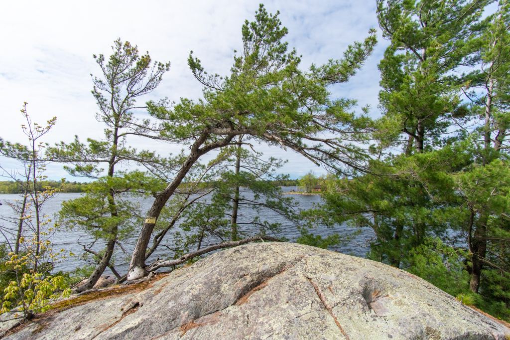 31 Gidley Turnpike Honey Harbour Georgian Bay image 37