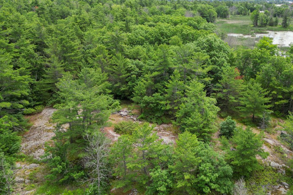 180 Prisque Road Honey Harbour Georgian Bay Muskoka image 1