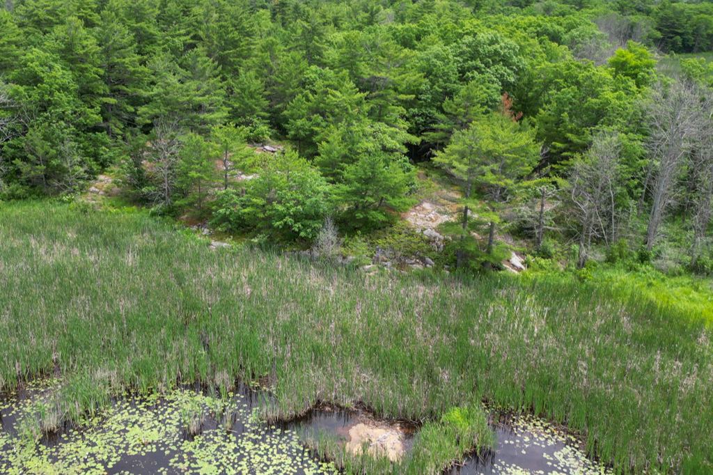 180 Prisque Road Honey Harbour Georgian Bay Muskoka image 2
