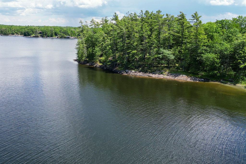 Cow Island Honey Harbour Georgian Bay Muskoka image 28