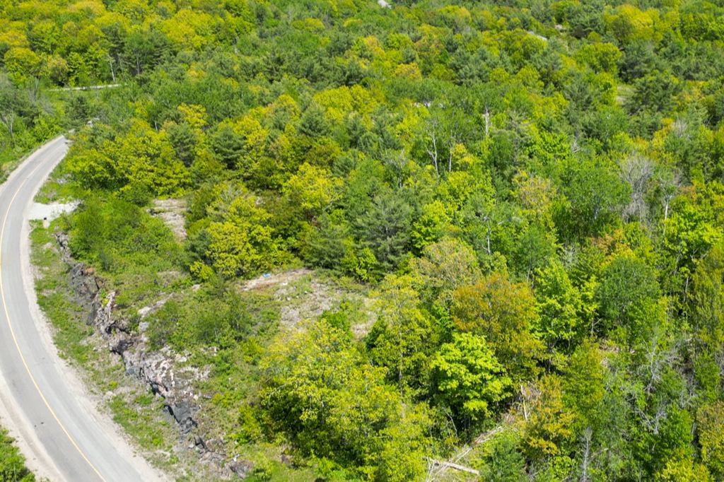 446 South Bay Road Port Severn Georgian Bay Muskoka image 3