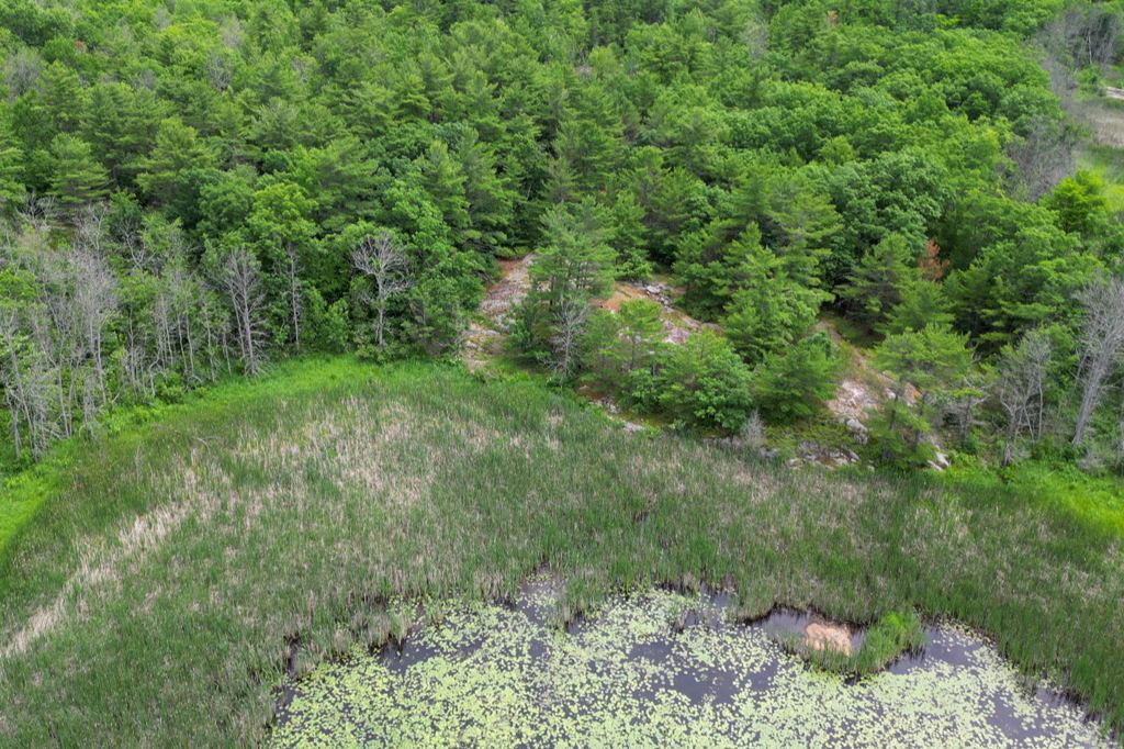 180 Prisque Road Honey Harbour Georgian Bay Muskoka image 3