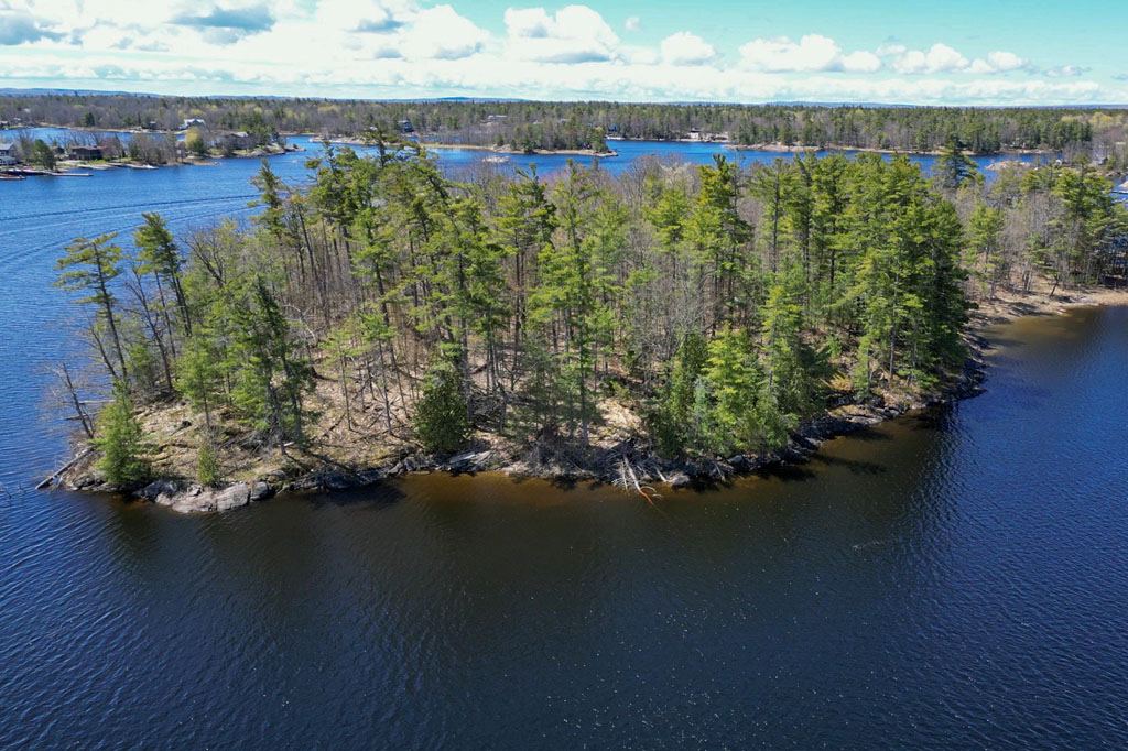 Cow Island Honey Harbour Georgian Bay Muskoka image 7